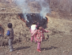 기사이미지