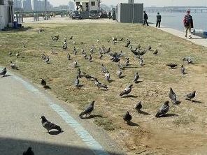 기사이미지