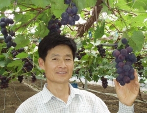 기사이미지