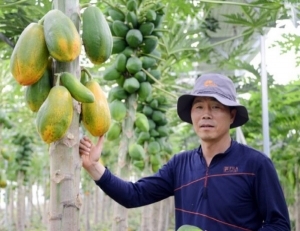 기사이미지
