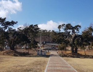 기사이미지