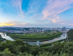 기사이미지