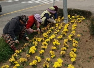 기사이미지
