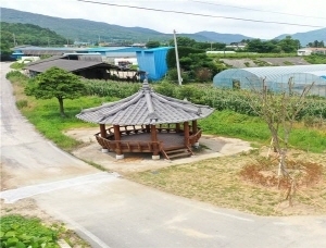 기사이미지