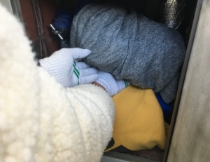 기사이미지