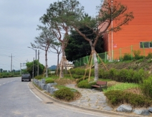 기사이미지