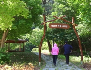 기사이미지