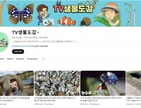 기사이미지