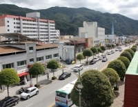 기사이미지