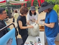 기사이미지